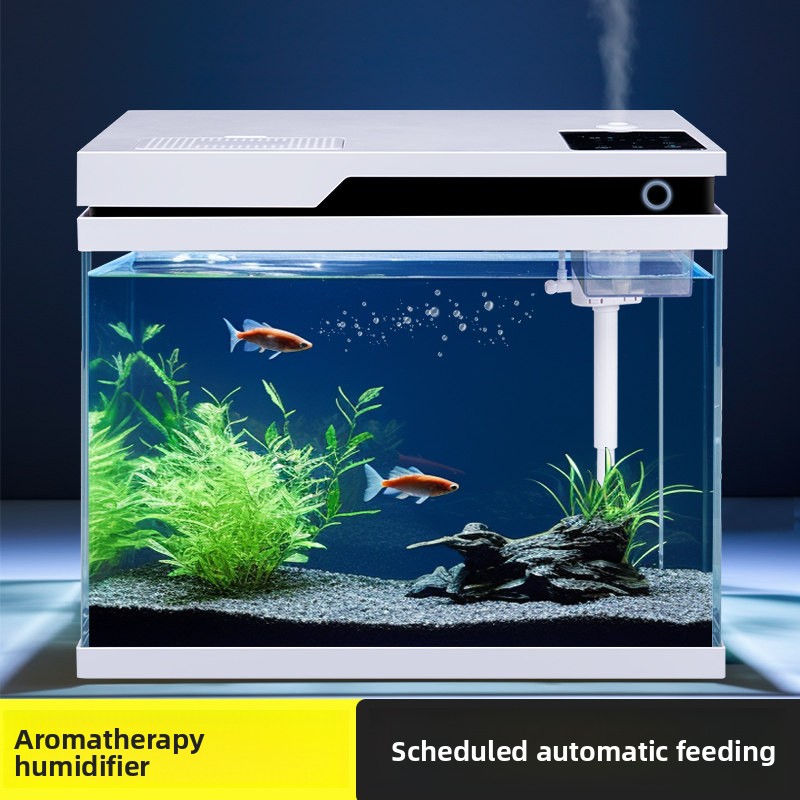 All Fish In Aquarium - Aquário de Vidro Transparente com Alimentação