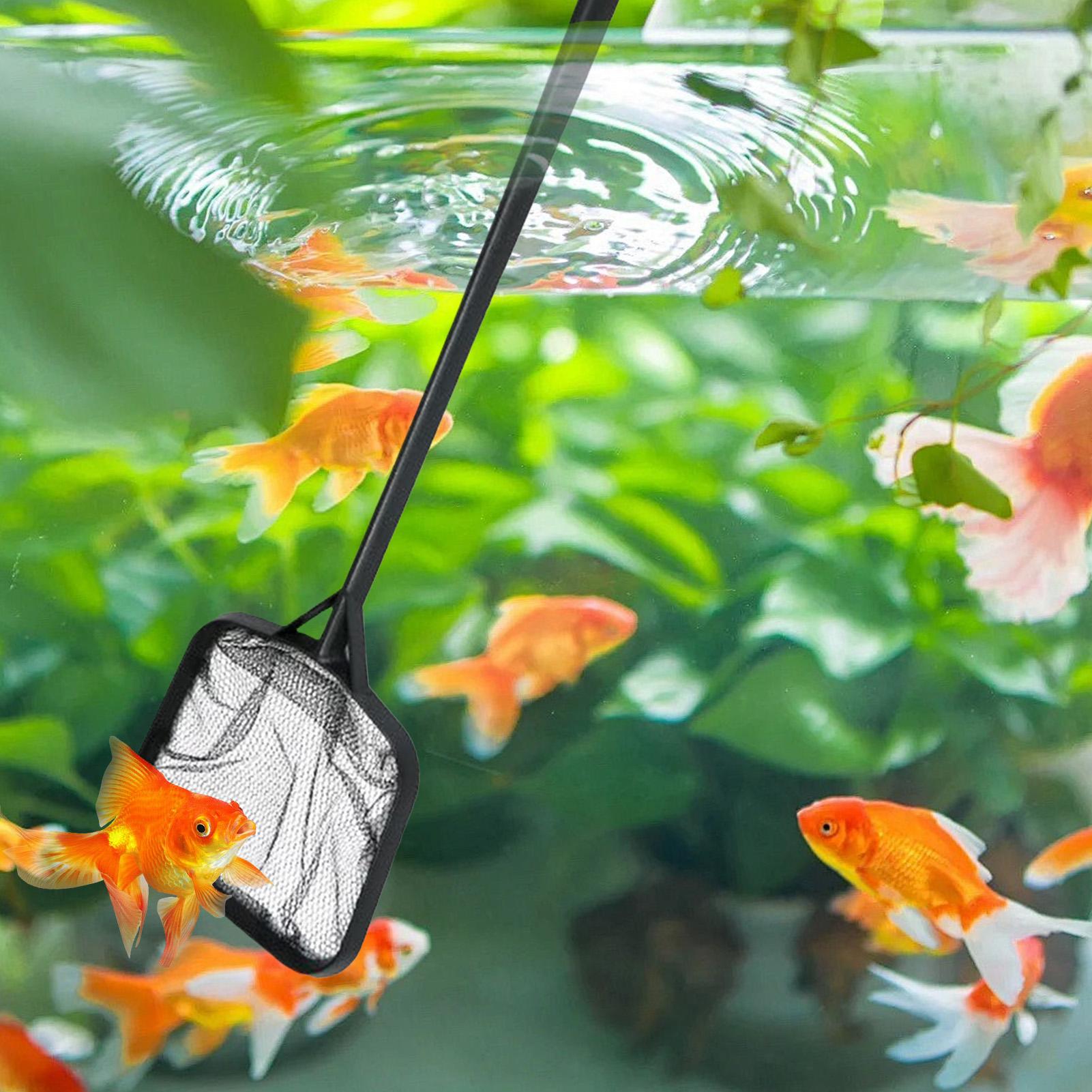 Redes para Limpeza de Piscinas - Aquarium Fish Net avaliação e preço
