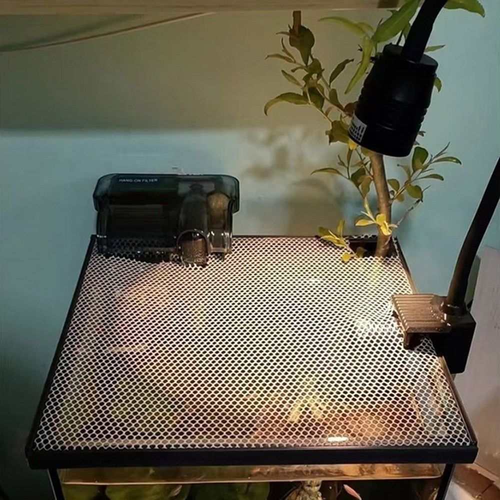 Tampa Magnética Resistente par - Aquarium Fish Net avaliação e preço