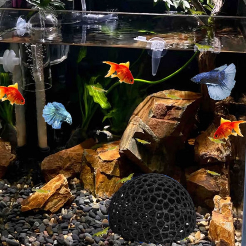 Abrigo peixes caverna para tan - Aquarium Fish Beautiful avaliação e preço