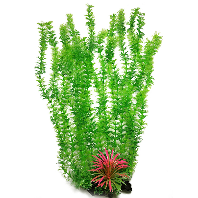 52 cm planta de tanque de peix - Aquarium Fish Beautiful avaliação e preço