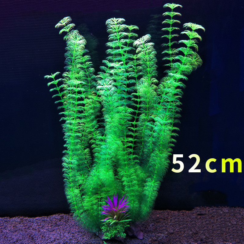 52 cm planta de tanque de peix - Aquarium Fish Beautiful avaliação e preço