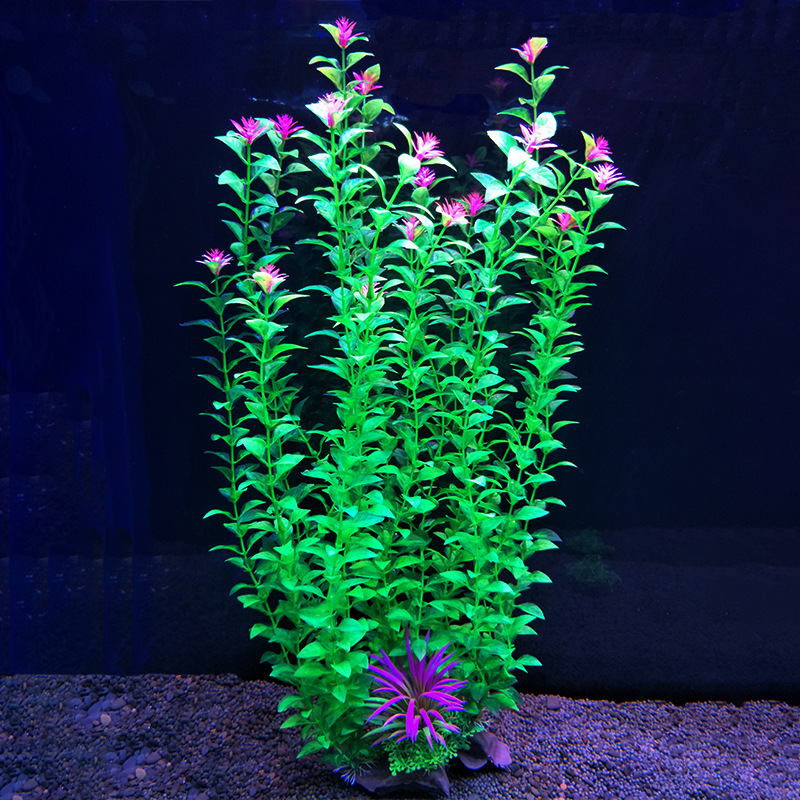 52 cm planta de tanque de peix - Aquarium Fish Beautiful avaliação e preço
