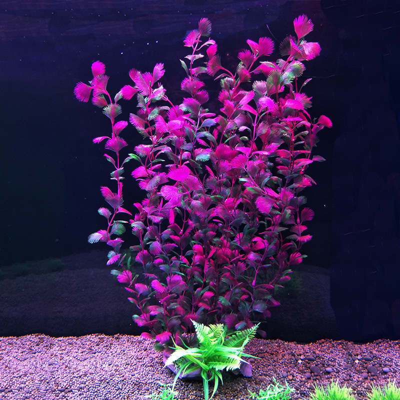 52 cm planta de tanque de peix - Aquarium Fish Beautiful avaliação e preço