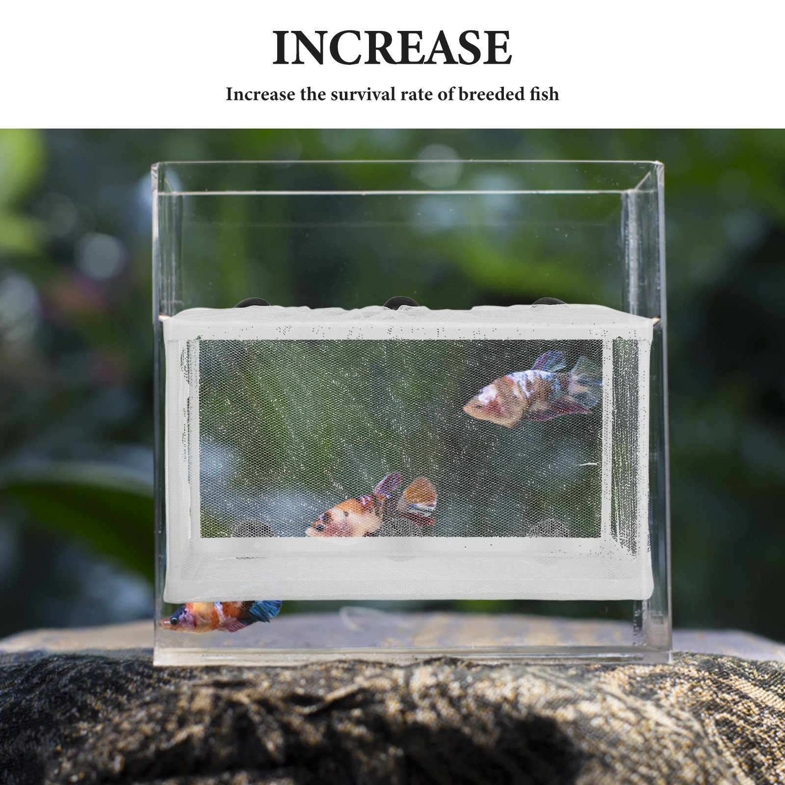 Rede de Pesca para Aquário, In - Aquarium Fish Net Big Size avaliação e preço