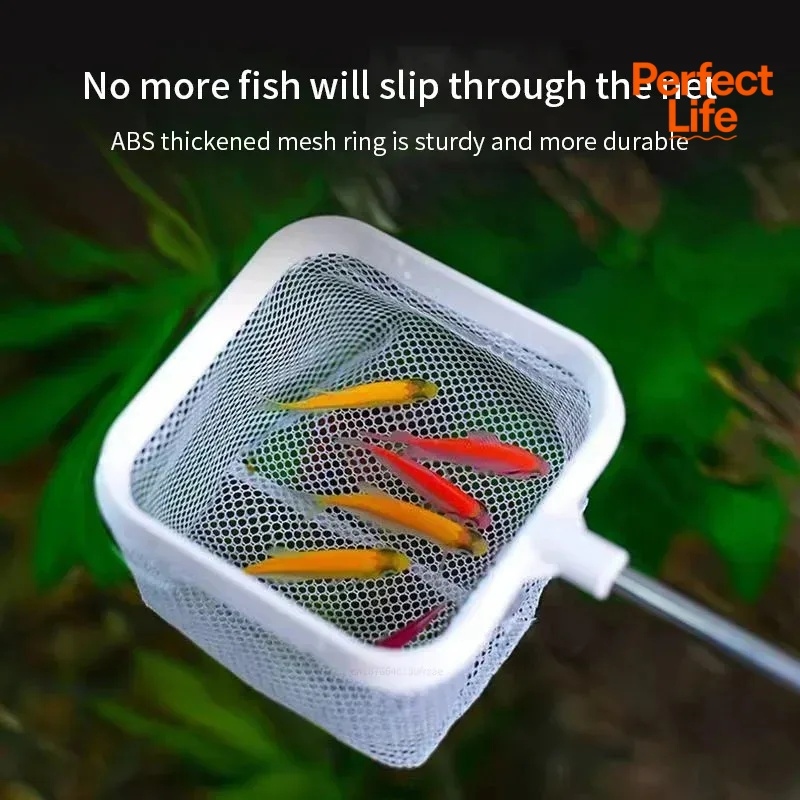 Rede de pesca em aço inoxidáve - Aquarium Fish Net avaliação e preço