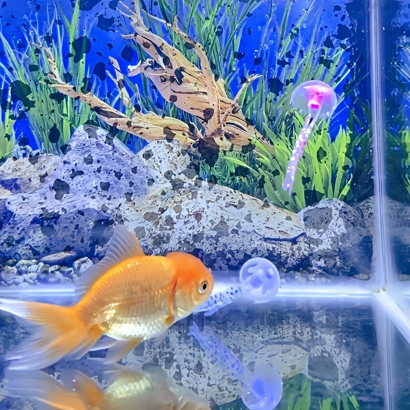 Decoração de Aquário com Água- - Aquarium Fish Discus avaliação e preço