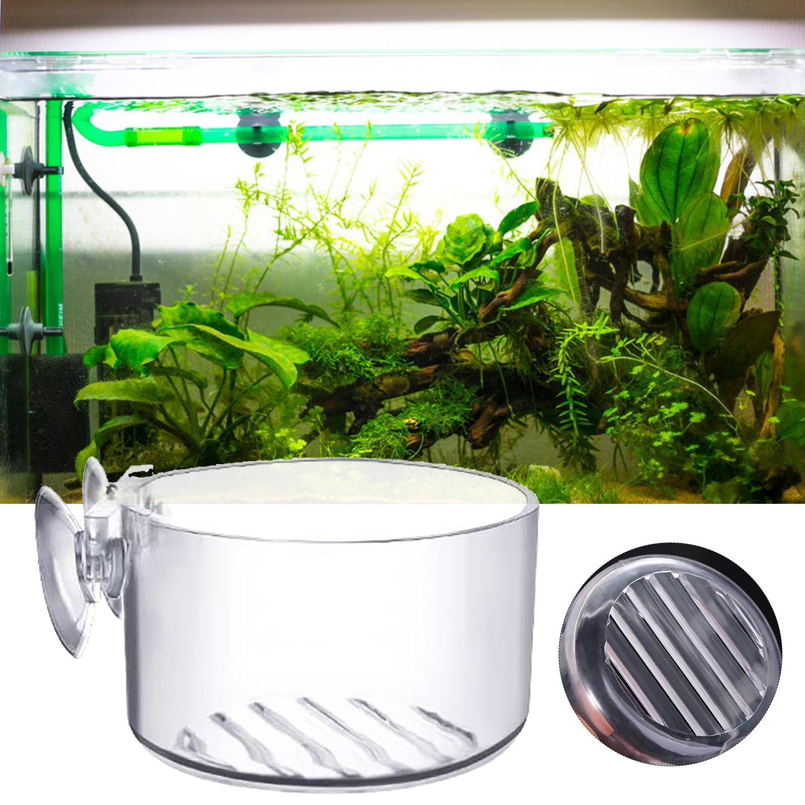Copo de acrílico para plantas  - Aquarium Fish Beautiful avaliação e preço