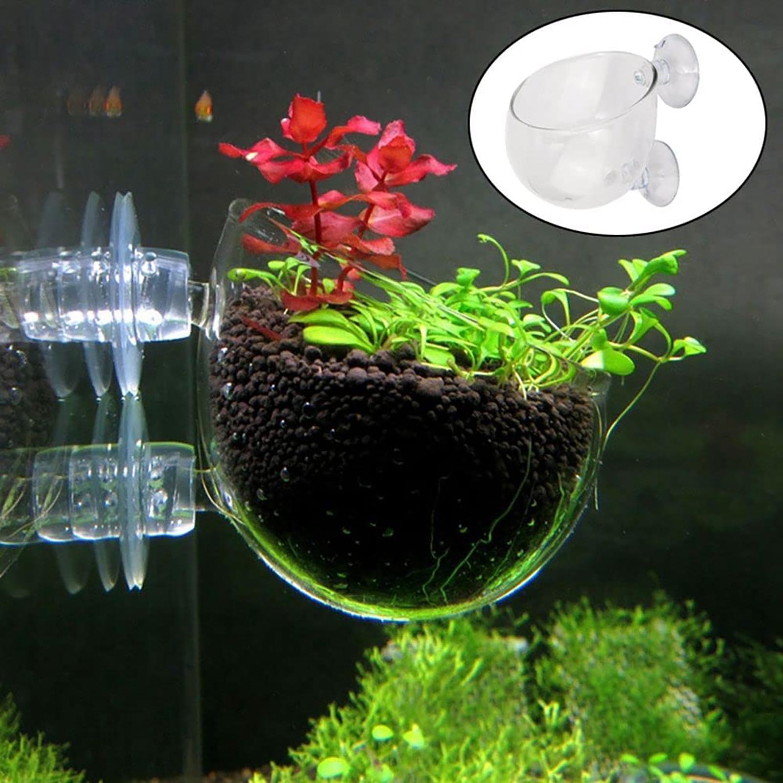 Vasos de acrílico para plantas - Aquarium Fish Beautiful avaliação e preço