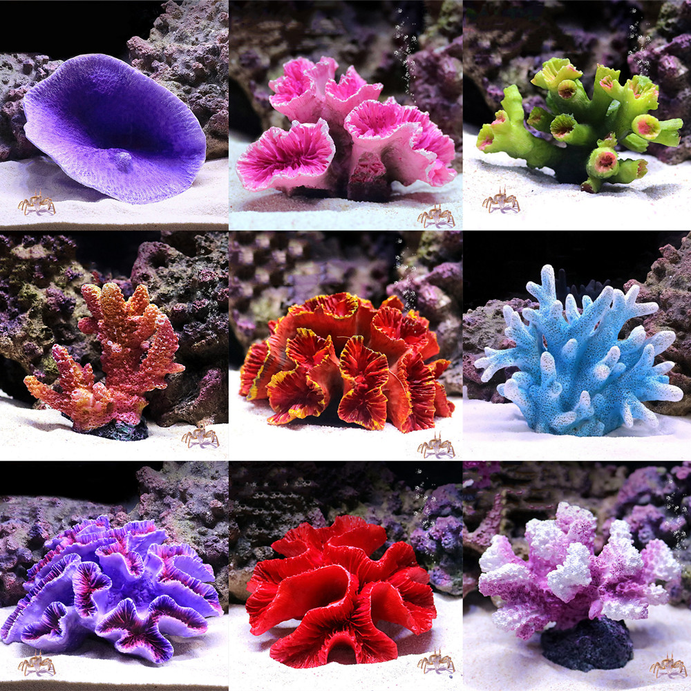 Resina Artificial Coral Reef A - Aquarium Fish Discus avaliação e preço