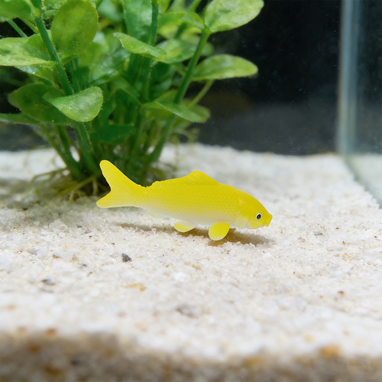 Conjunto de 3 Peças de Brinque - Aquarium Fish Pond avaliação e preço