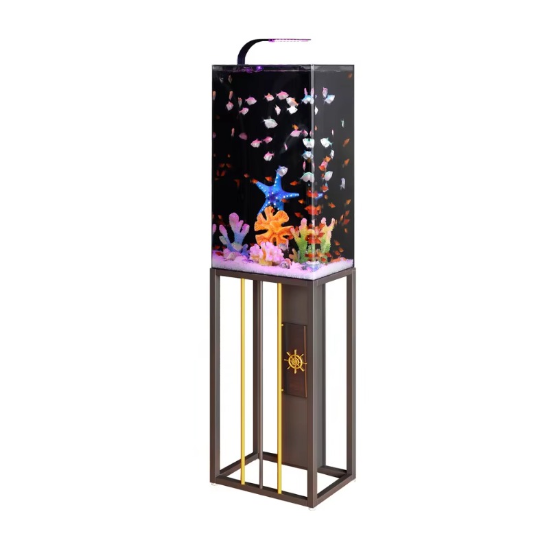 Aquário de Acrílico 2026 Grand - Aquarium Fish Beautiful avaliação e preço