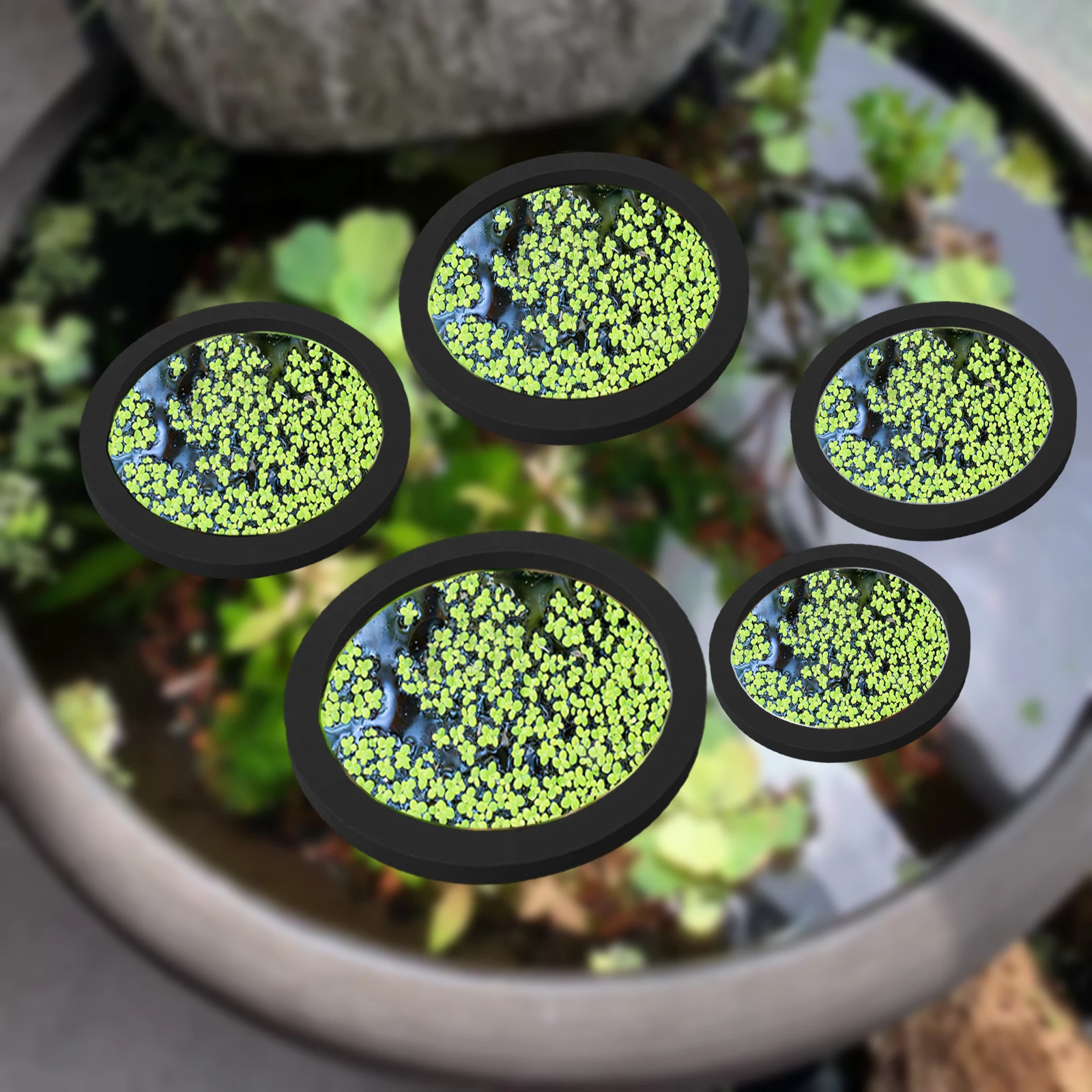 5 pçs eva anel de alimentação  - Aquarium Fish Pond avaliação e preço