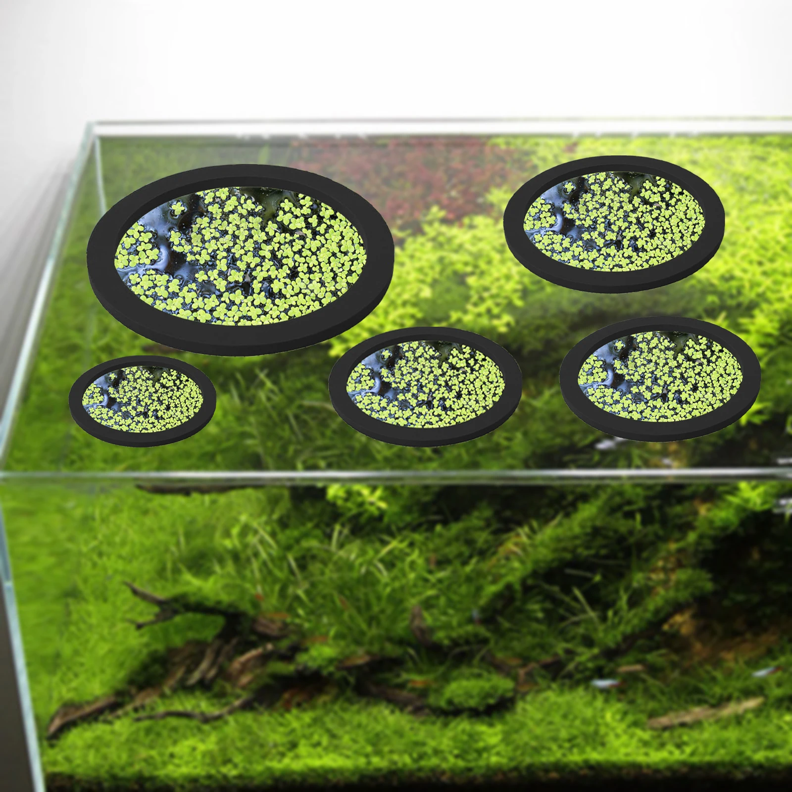 5 pçs eva anel de alimentação  - Aquarium Fish Pond avaliação e preço