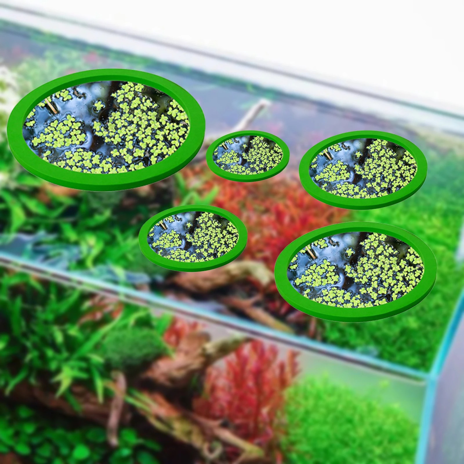 5 pçs eva anel de alimentação  - Aquarium Fish Pond avaliação e preço