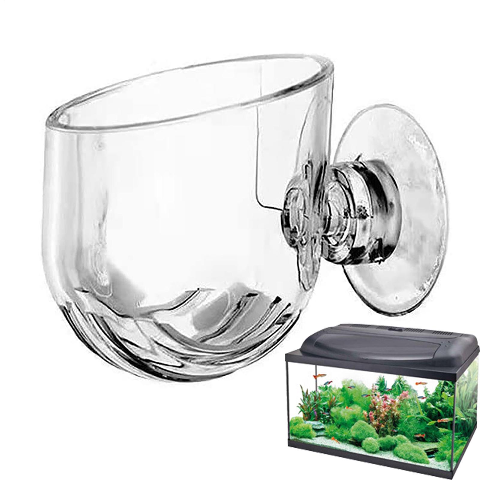 Suporte de Sucção para Plantas - Aquarium Fish Beautiful avaliação e preço