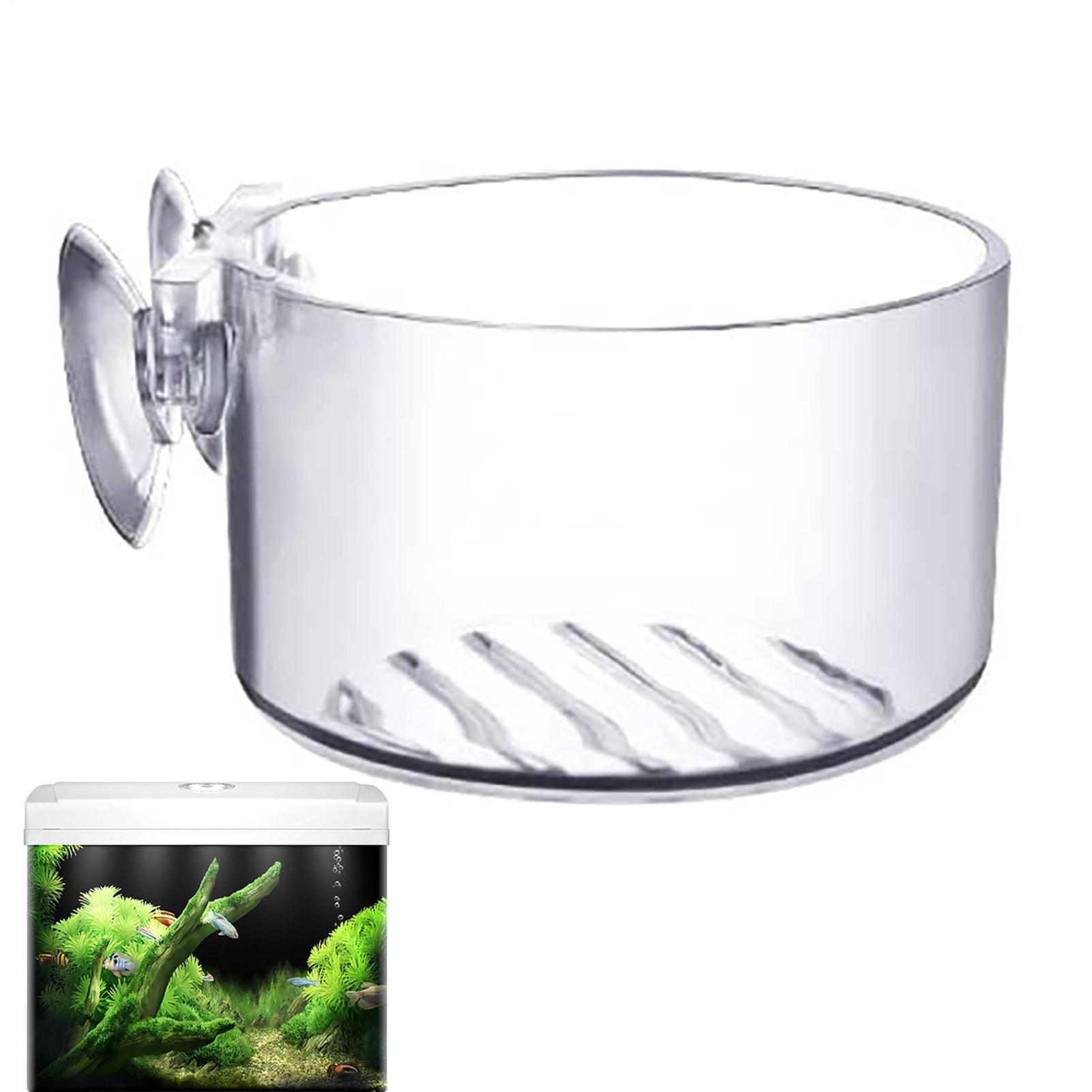 Suporte de Sucção para Plantas - Aquarium Fish Beautiful avaliação e preço