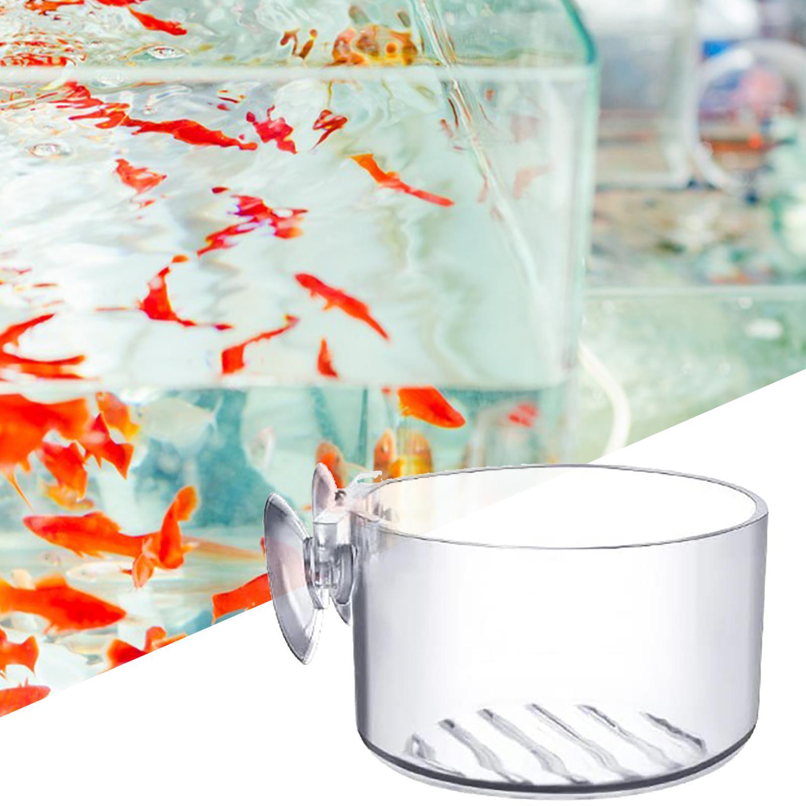 Suporte de Sucção para Plantas - Aquarium Fish Beautiful avaliação e preço