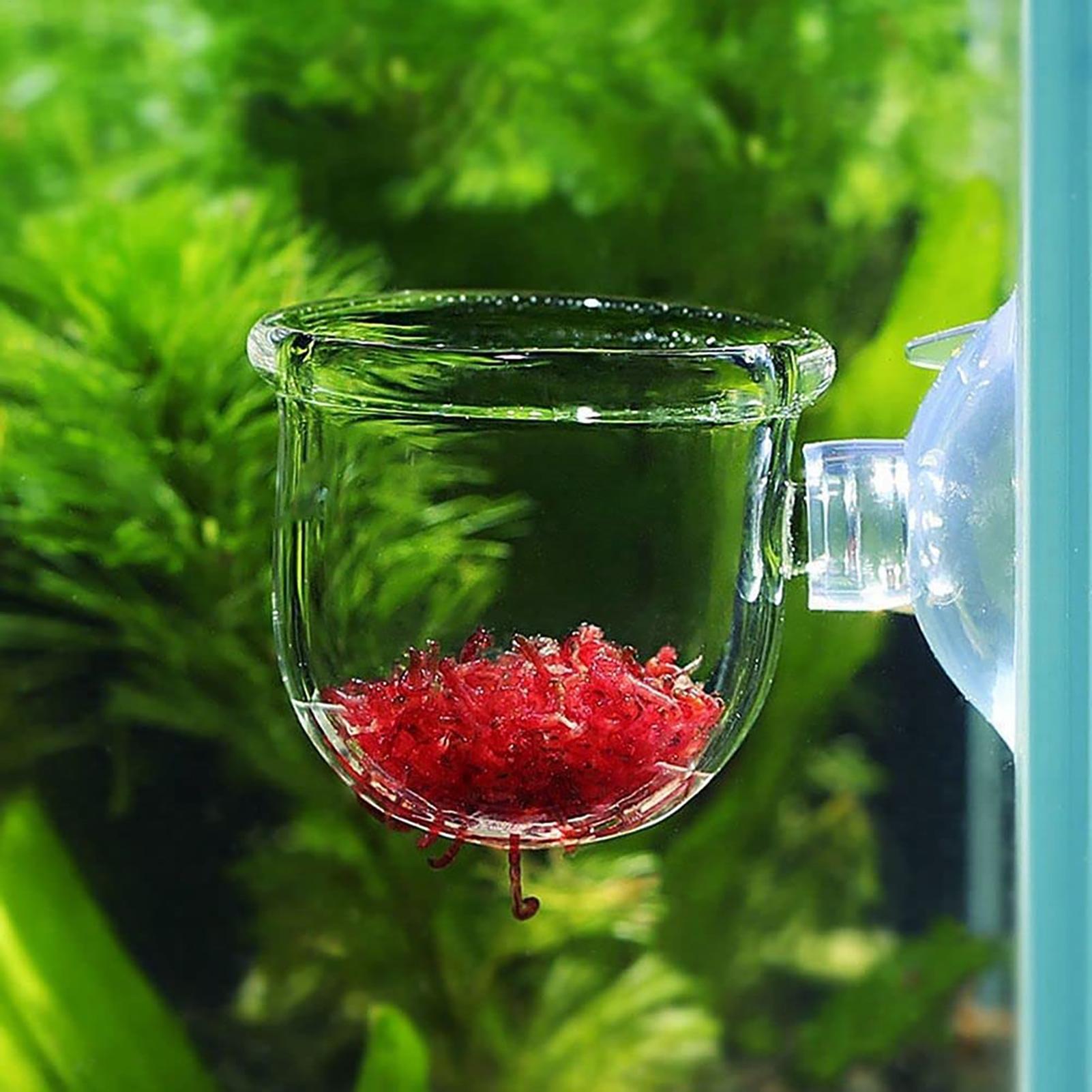 Suporte para Plantas de Aquári - Aquarium Fish Beautiful avaliação e preço