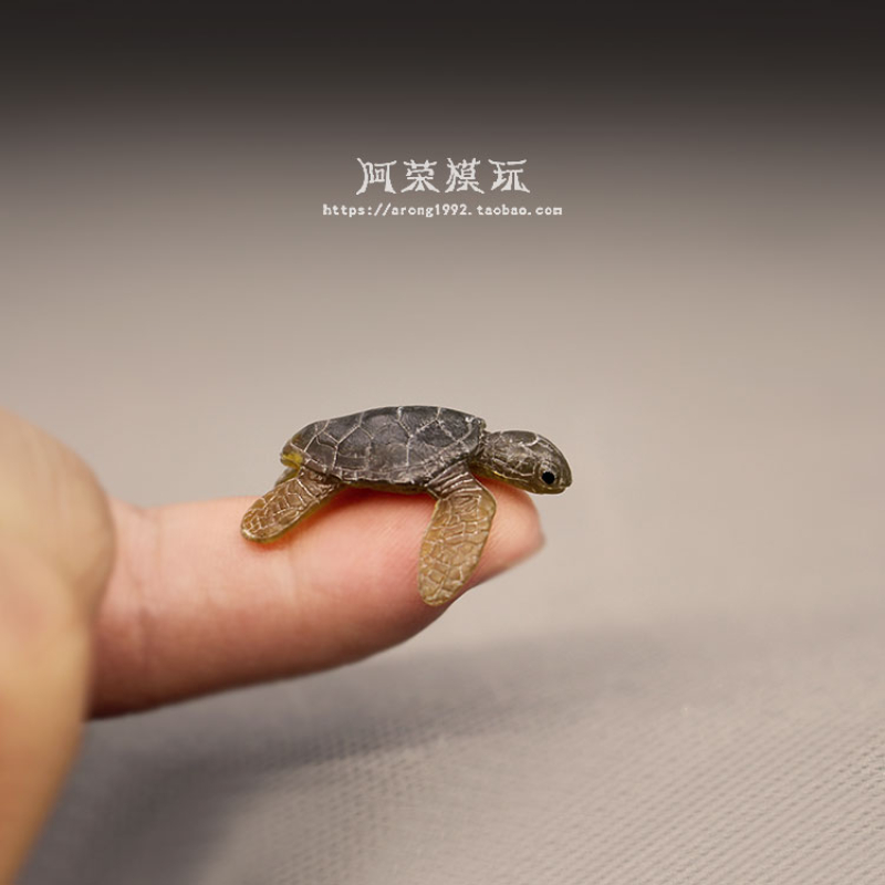Modelo de tartaruga marinha ma - Aquarium Fish Japan avaliação e preço