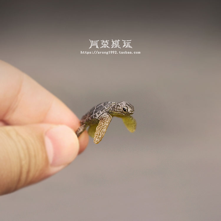 Modelo de tartaruga marinha ma - Aquarium Fish Japan avaliação e preço