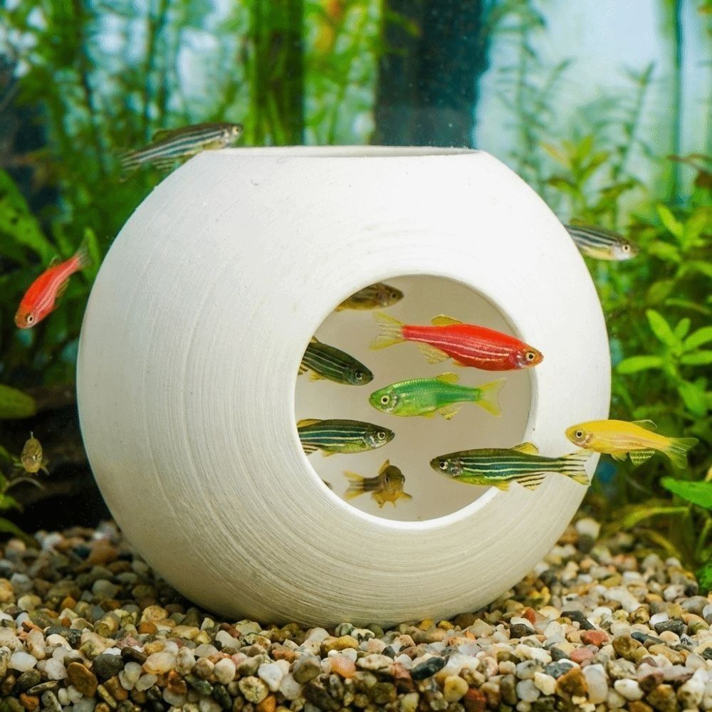 Caverna Esférica de Plástico p - Aquarium Fish Discus avaliação e preço