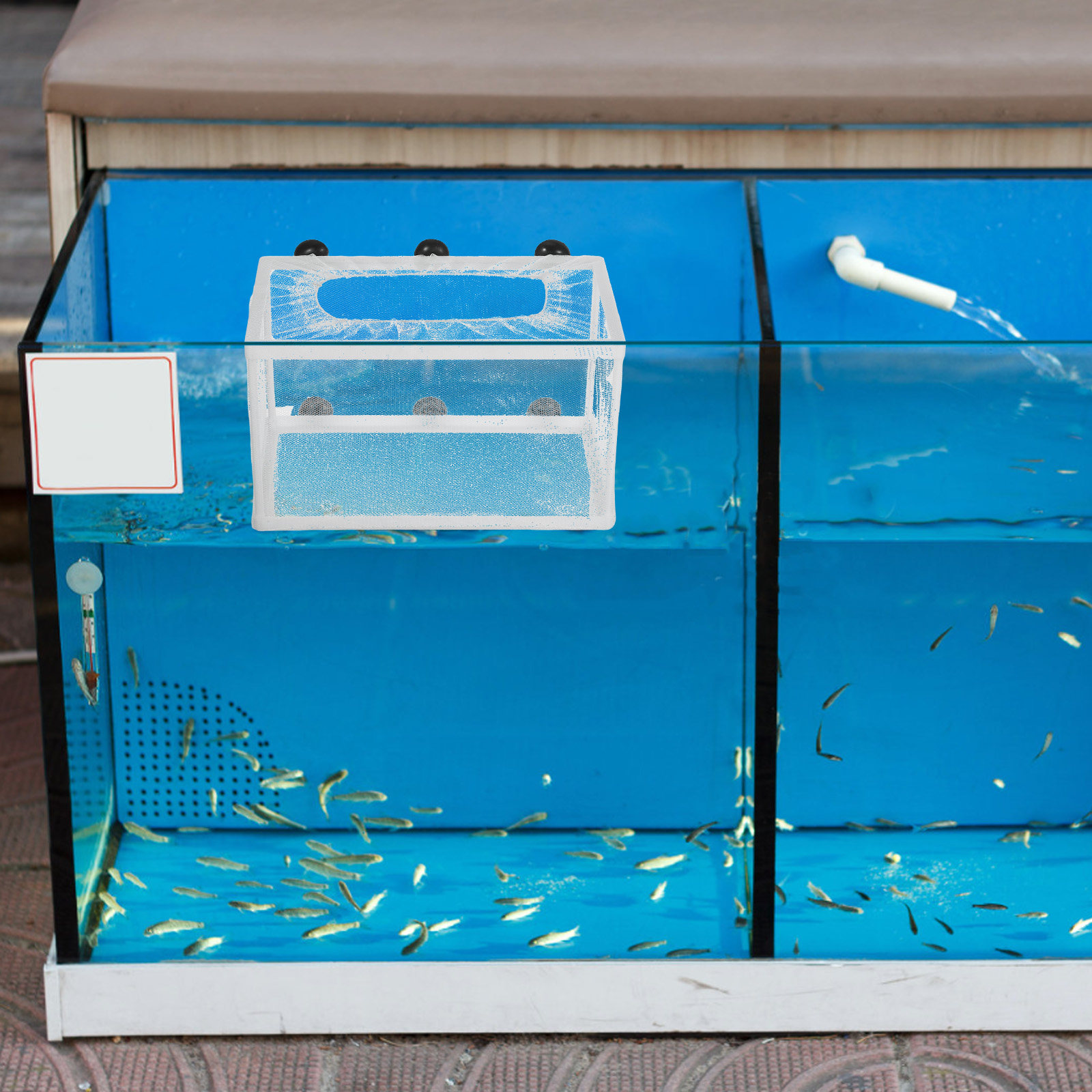 Rede para Peixes de Grande Tam - Aquarium Fish Net Big Size avaliação e preço