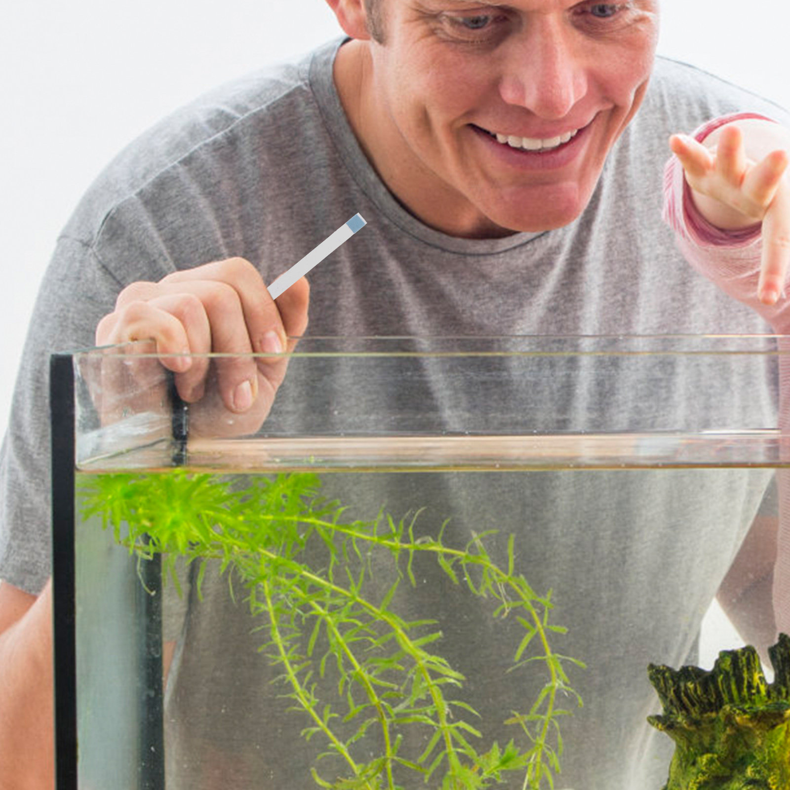 Tiras de Teste para Piscina, T - Aquarium Fish Pond avaliação e preço