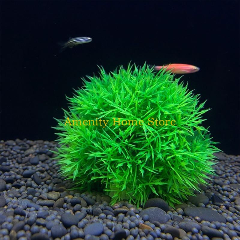 F26C Marimo Artificial Verde p - Aquarium Fish Beautiful avaliação e preço