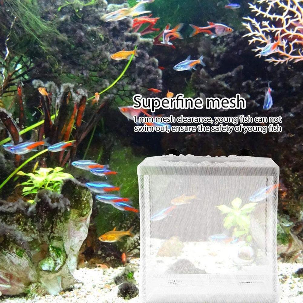 Caixa de isolamento de incubaç - Aquarium Fish Net avaliação e preço