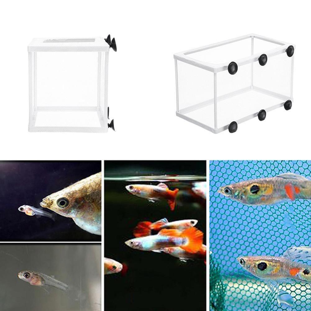 Caixa de isolamento de incubaç - Aquarium Fish Net avaliação e preço